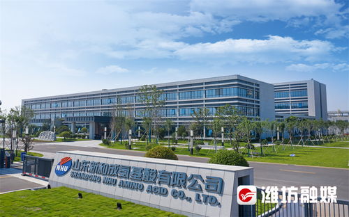 濰觀 鍛造濰坊軟實力③ 讓良好營商環境成為迸發生產力的沃土